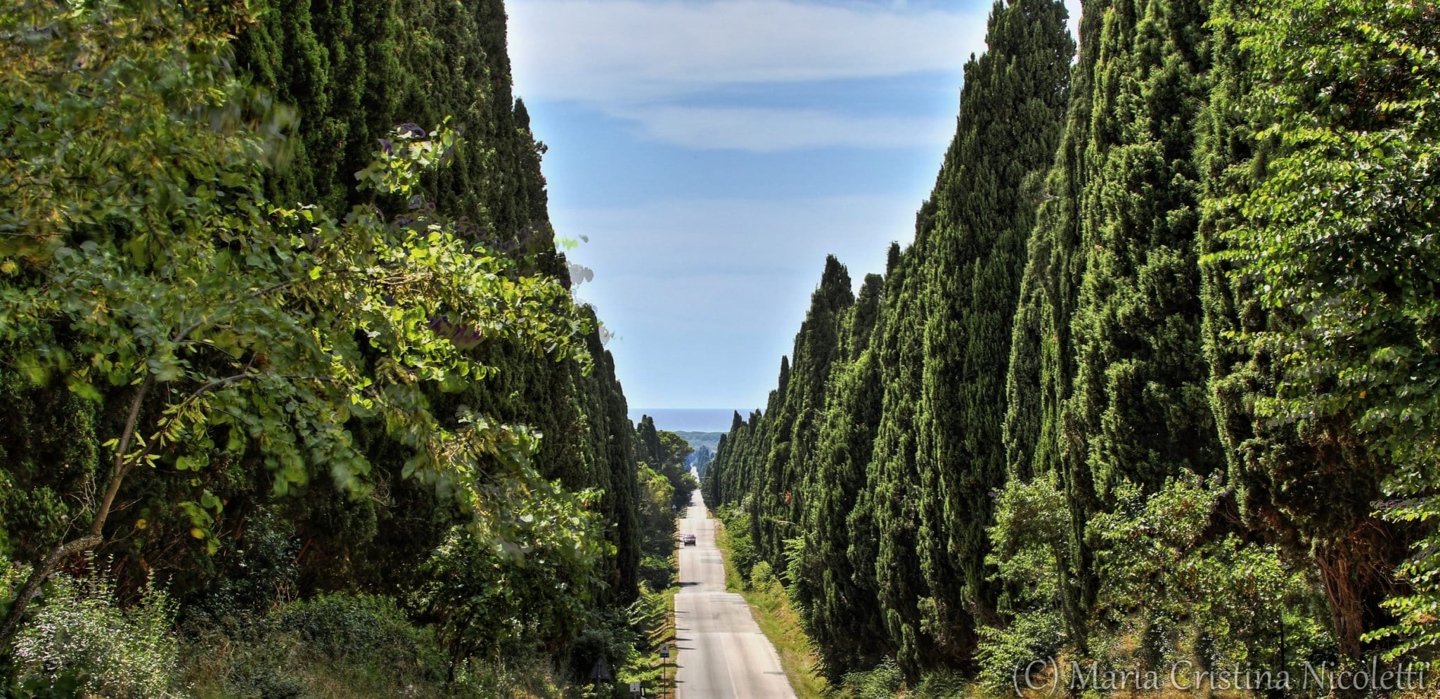 Bolgheri è poesia