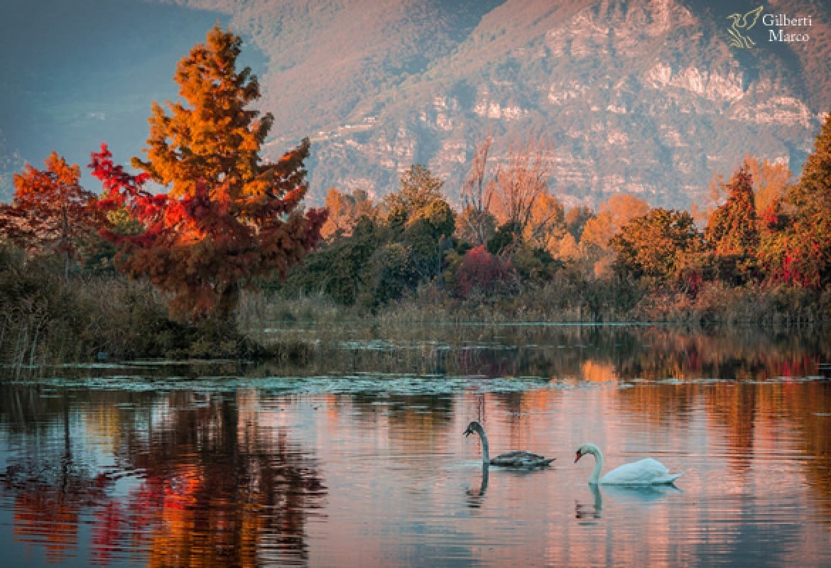 Fuga romantica di un fine settimana: Lovere e il lago d’Iseo