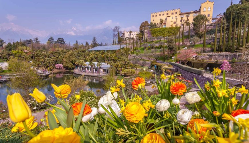 Picnic al Laghetto delle Ninfee: un’esperienza unica nei Giardini di Castel Trauttmansdorff