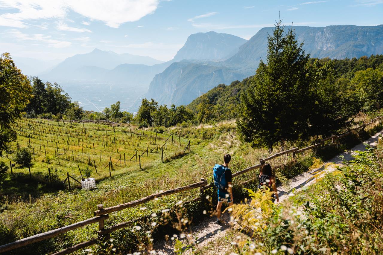 Monte di Mezzocorona