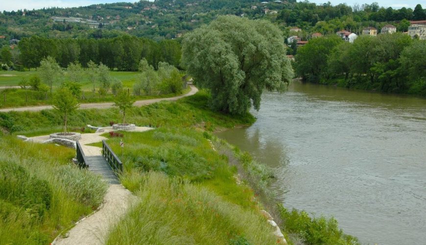 Scoprendo il Parco Naturale del Po Piemontese: Un corridoio ecologico di biodiversità
