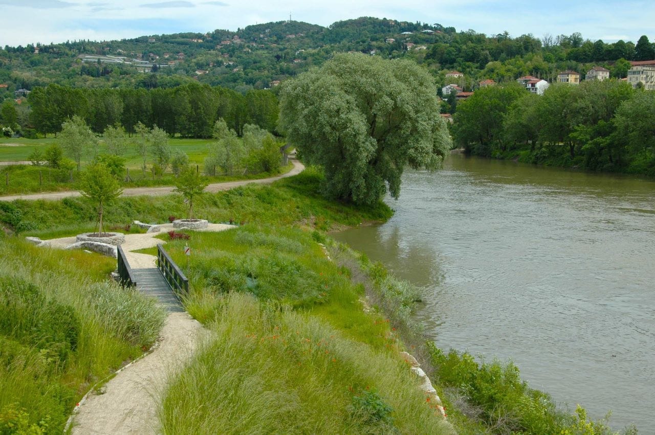 Scoprendo il Parco Naturale del Po Piemontese: Un corridoio ecologico di biodiversità