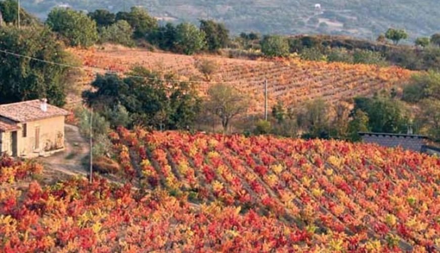 Viaggio nella Sardegna più aspra e selvaggia: la Barbagia