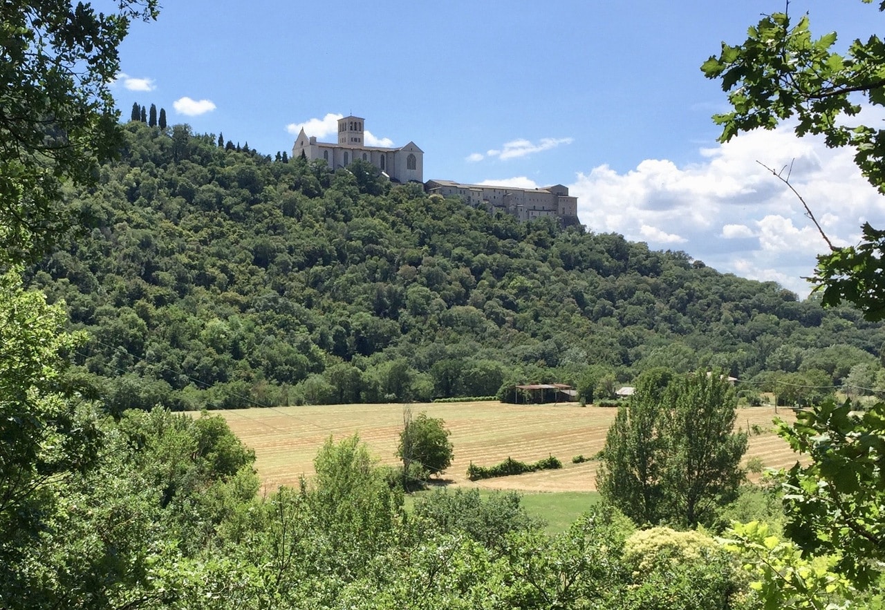 Bosco di San Francesco