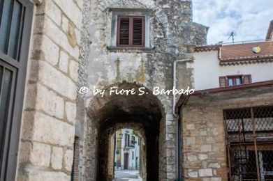 46949840384_3afa2cb5b0_o.jpg-Fiore-Silvestro-Barbato