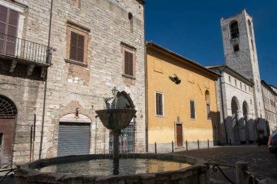 Claudio-Giovanni-Colombo-shutterstock_790669045
