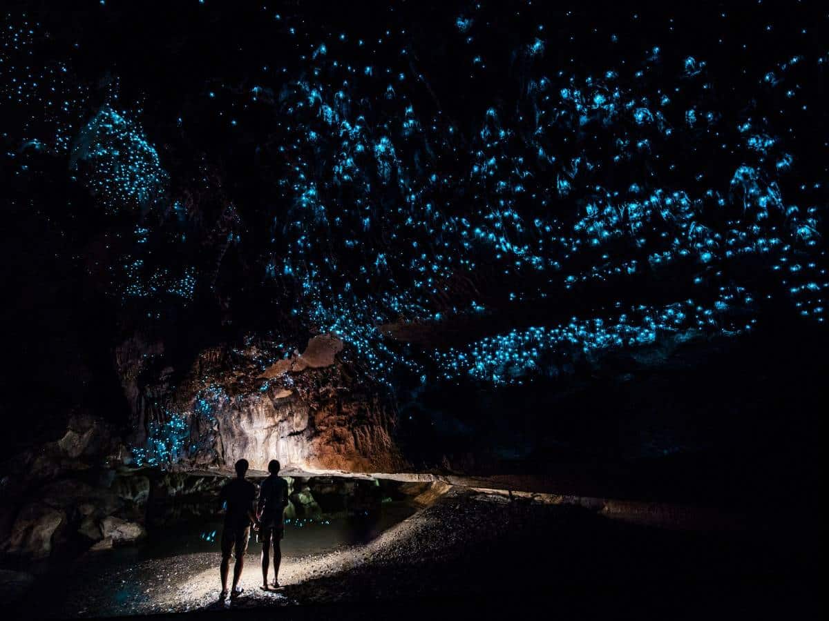Vermi luminosi delle Grotte di Waitomo, Nuova Zelanda