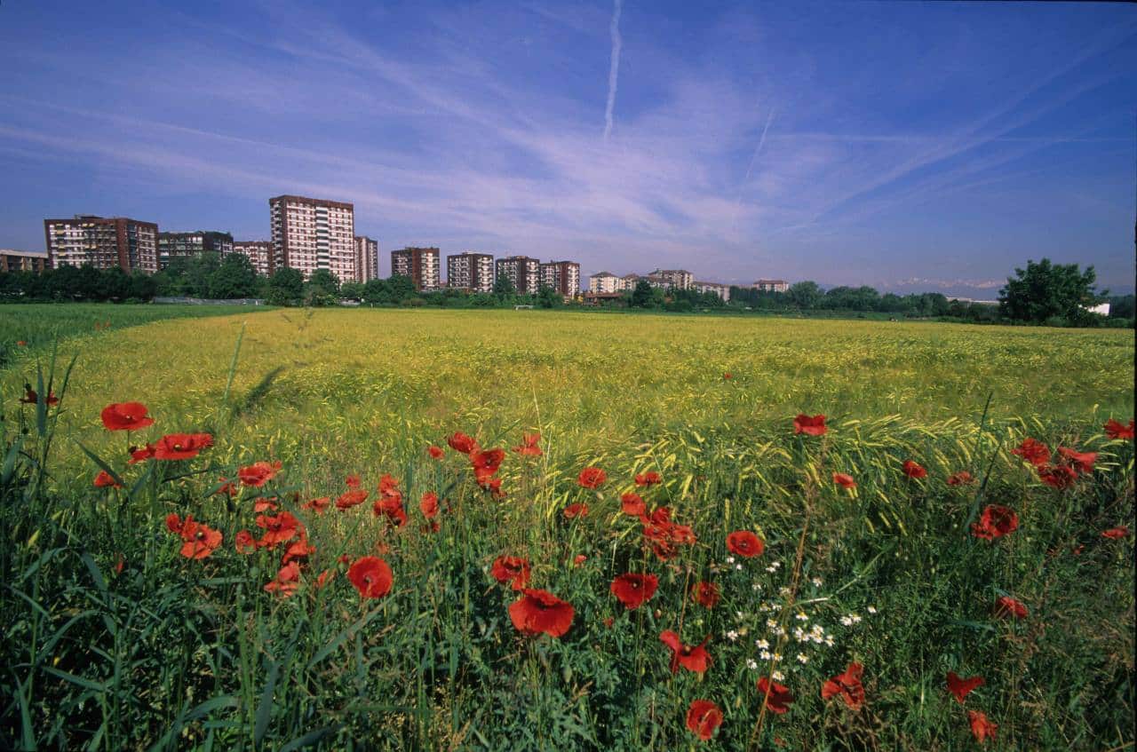 Parco delle Vallere a Moncalieri