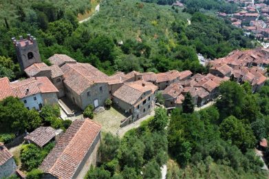 Collodi