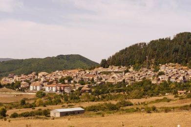 Floresta