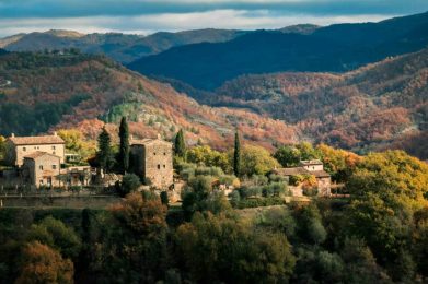 Montone