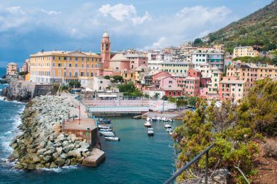Nervi