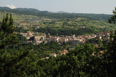 Palena