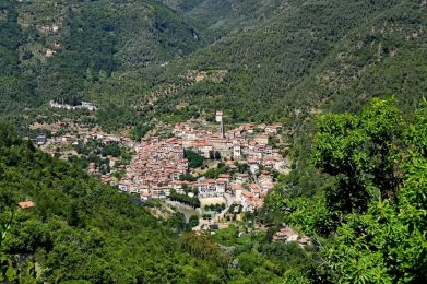 Pigna
