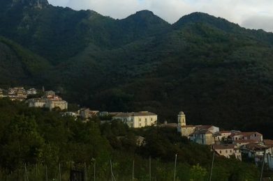Sieti