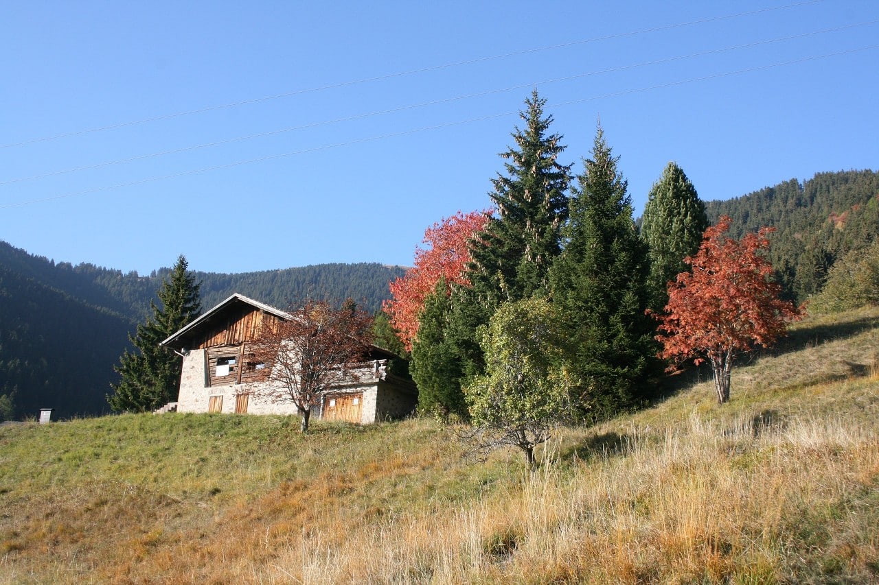 Masi tipici della Valle dei Mocheni