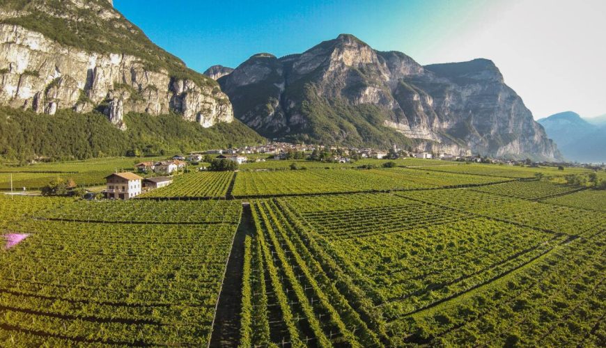 In viaggio nel cuore del Trentino, tra borghi, storia e viticoltura