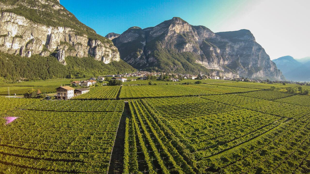 In viaggio nel cuore del Trentino, tra borghi, storia e viticoltura