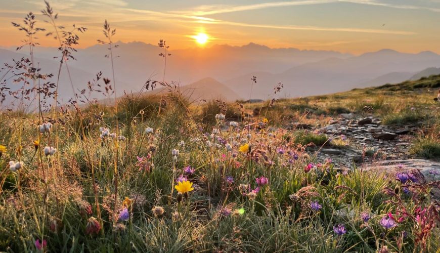Godersi il momento più bello della giornata: L’alba al Passo Giovo