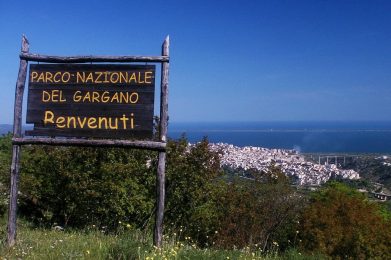Antonio-Caputo-flickr