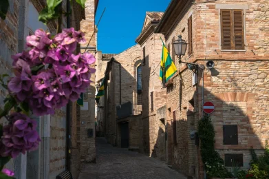 Andrea-Luciani-shutterstock_706366630