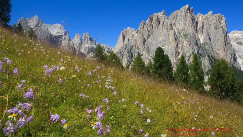 Catinaccio, Torri del Vailét e larsech dal Ciampedie