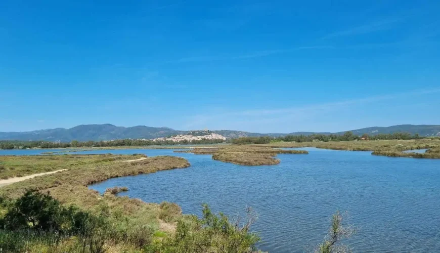 Parco Naturale Regionale di Tepilora: un mosaico di natura e cultura nel cuore della Sardegna