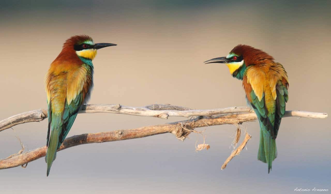 I Parchi del Ducato: la natura protetta tra Parma e Piacenza