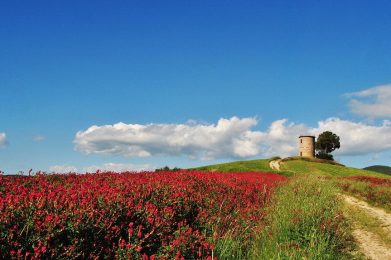 Mulino-del-Cardellino-Bibbona-foto-di-Jada